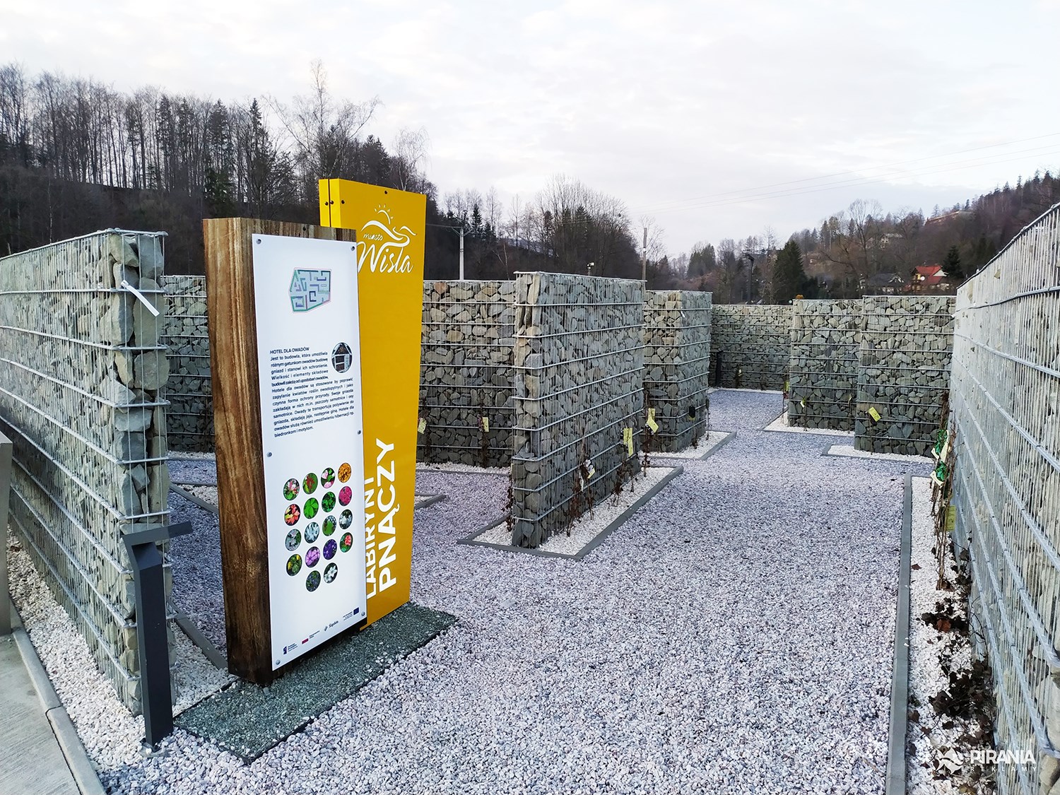 036